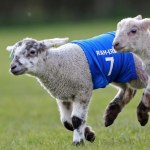 Screen Shot 2018-04-24 at 7.24.52 PM